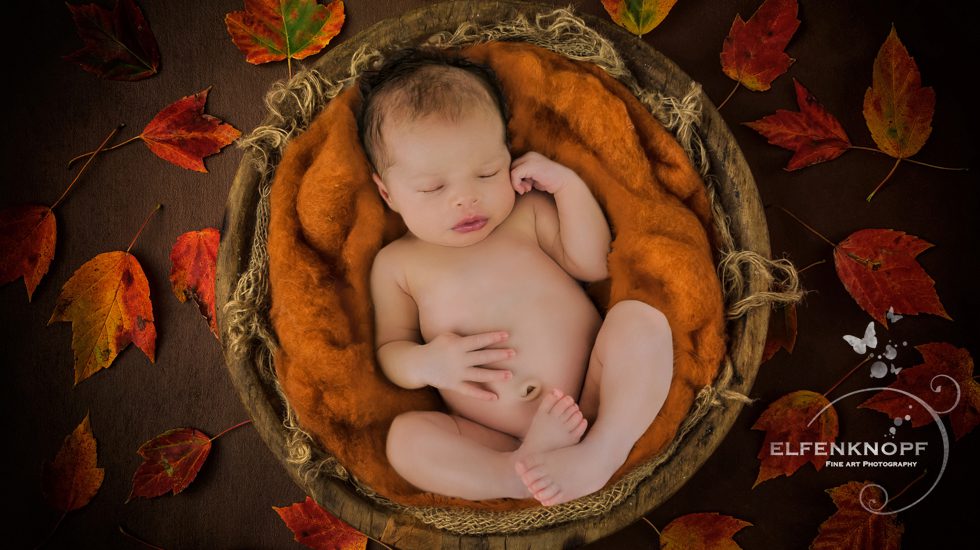 Babyfotografie Newbornfotografie Slider (21)